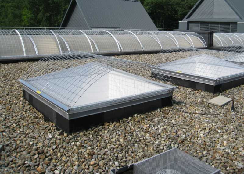 Skylight Fall Protection Systems