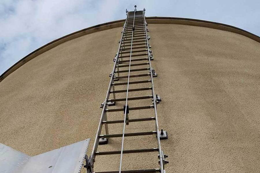 ladder fall protection system