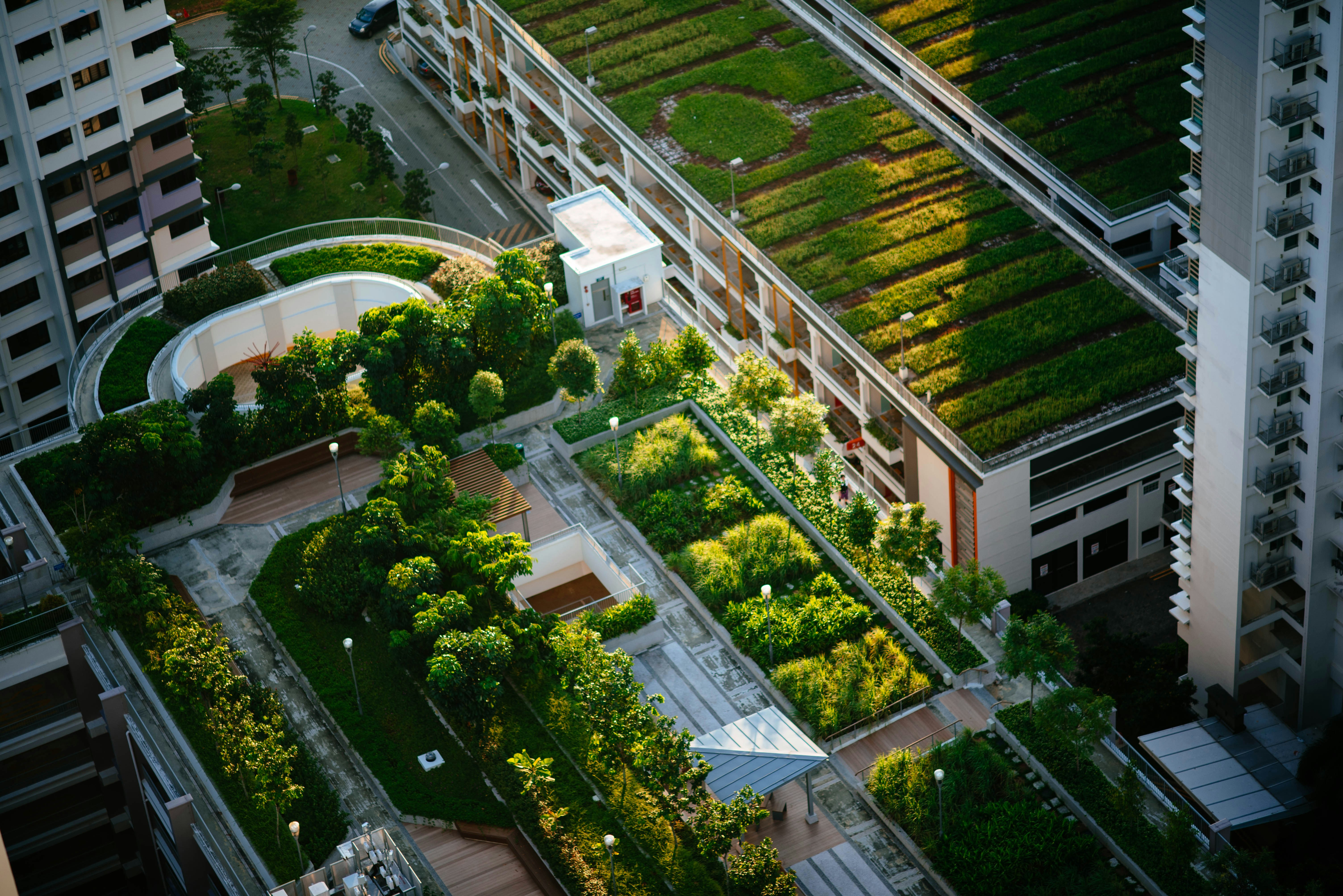Green Roof Fall Protection