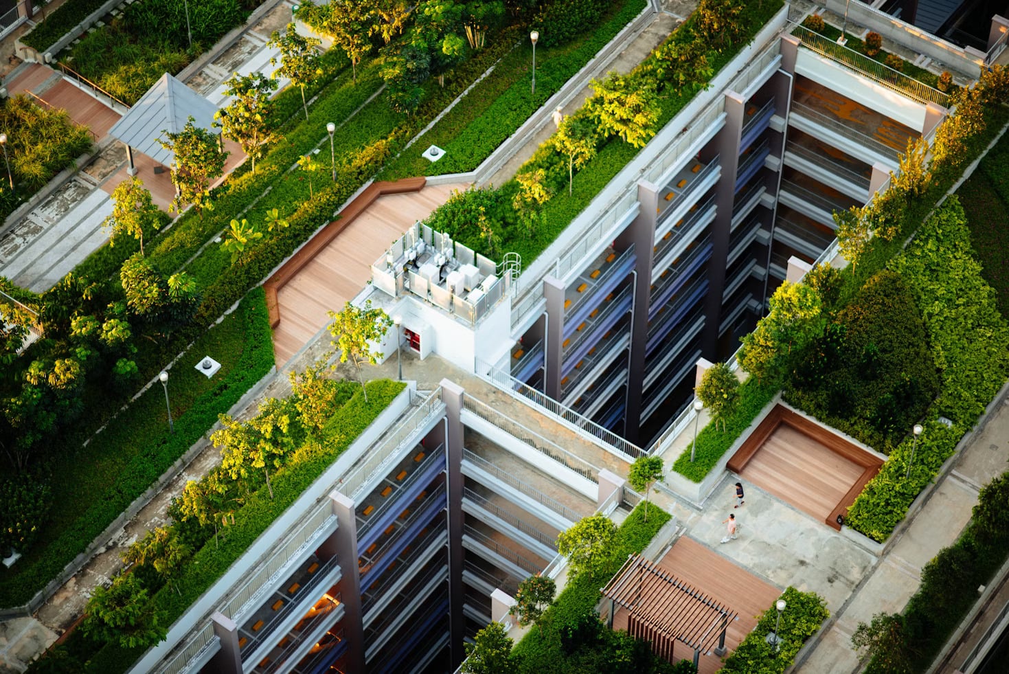 Green Rooftop