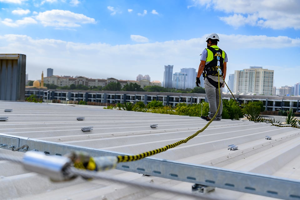 Harness and Lanyard Fall Protection