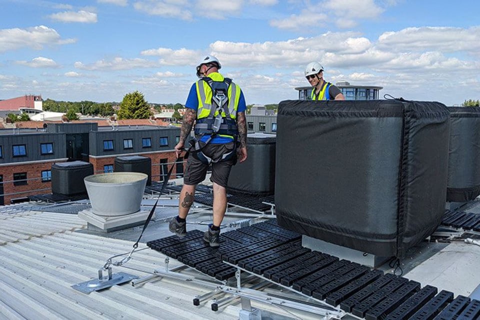 Workers Using Harnesses on Rooftop