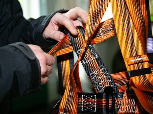 Harness Inspection